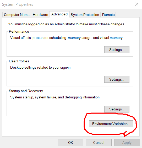 Set Environment Variable sin Windows