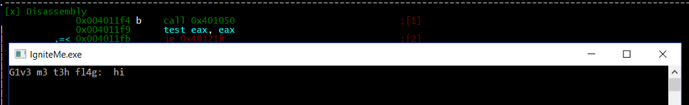 Breakpoint hit in Radare2